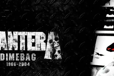 Pantera iPhone 5 Wallpapers