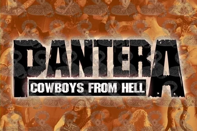 Pantera   Pantera Wallpapers (1626293)   Fanpop