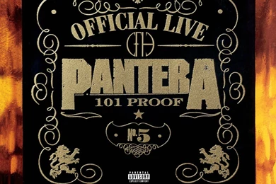 PANTERA Thrash Metal Heavy Poster Fs Wallpapers