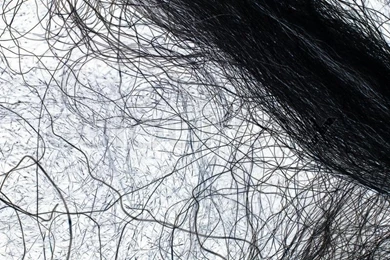 Black And White Hairs (or Wires) As An Abstract Backgrounds