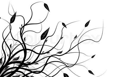 Floral Abstract Black And White Backgrounds With Copy Space ...