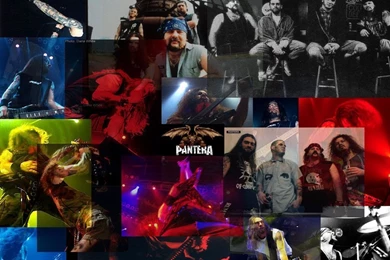 Pantera   Pantera Wallpapers (172012)   Fanpop