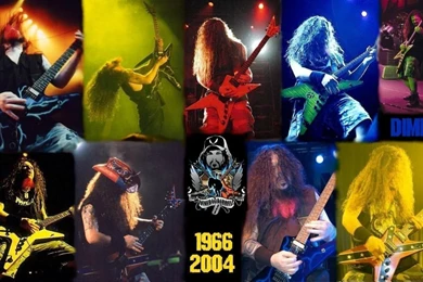 Pantera Computer Wallpapers, Desktop Backgrounds