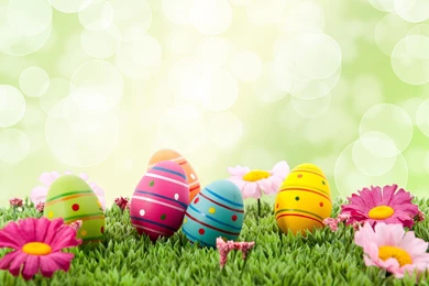164 Easter HD Wallpapers