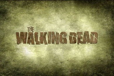 The Walking Dead   Wallpapers   HD Wallpapers