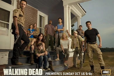 Walking Dead 03 Wallpapers HD