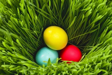 Easter Backgrounds 2016 Download Free