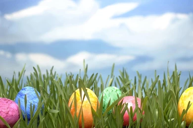 Easter Spring Images : Full HD Desktop Wallpapers : Wallinda