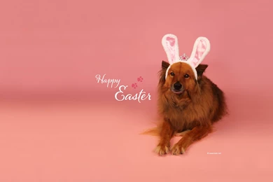 Free Easter Wallpapers, Desktop Backgrounds By Kate.net