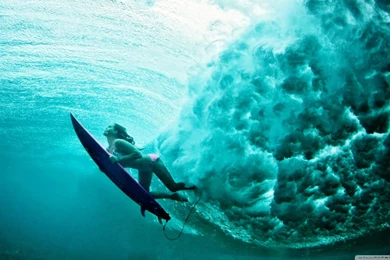 Underwater Wallpapers Full HD [2560x1440]   Free Wallpapers Full Hd ...