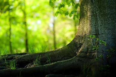 100% Desktop Quality HD Wallpapers 1080p Free Download: Top 28 ...