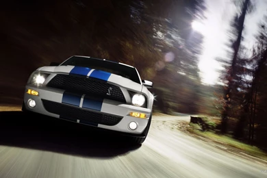 Mustang Boss 302 Laguna Seca Computer Wallpapers, Desktop ...