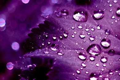 Free iPad Wallpapers