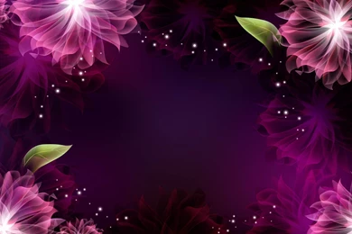 Purple Flowers Wallpapers