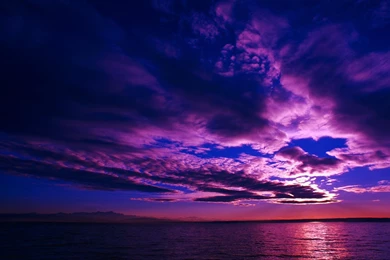 Purple Wallpapers For Home   Desktop Backgrounds