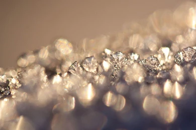 Artists — Opera On Demand