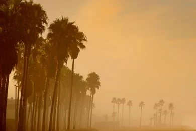 Los Angeles Beach Morning / HD iPad Wallpapers