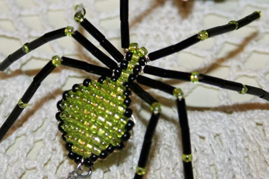 Spider Wallpapers 1920x1080 Wallpapers, 1920x1080 Wallpapers ...