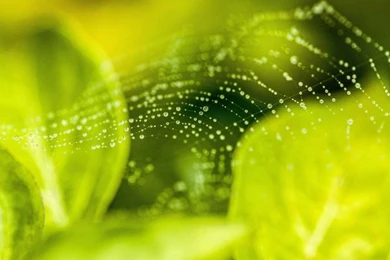 45 Attractive iPad Air Wallpapers – Taking You To Beautiful ...