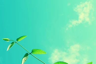 Ipad Air Backgrounds Tumblr   Wallpapers