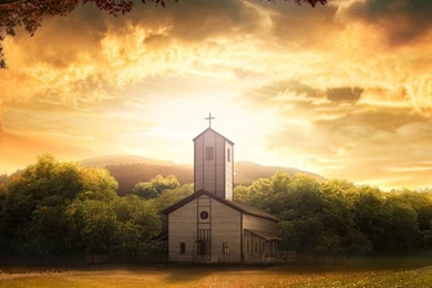 Android Phone Wallpapers HD Collection