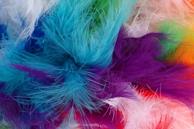 1080x1920 Android Live Wallpapers, Android Wallpapers, Android ...