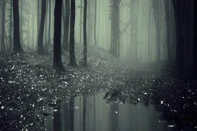 Snowflake Shape Snow Galaxy S4 S5 Wallpapers HD 1080x1920