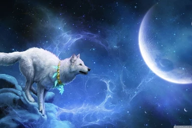 Magic White Wolf HD Desktop Wallpapers : High Definition : Mobile