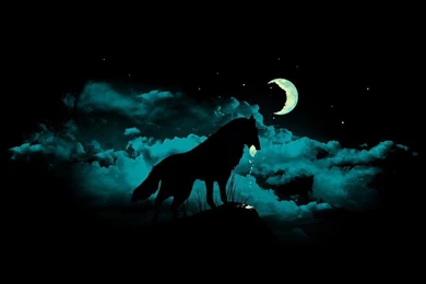 Wolf Wallpaper_hd Wallpaper_download Free Wallpapers