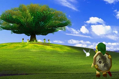 Link Bliss The Legend Of Zelda Hd Wallpapers (