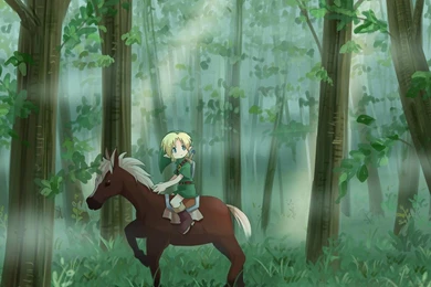 Link The Legend Of Zelda Hd Wallpapers (