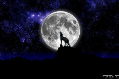 Zreo Zelda Reorchestrated Hd Wallpapers (