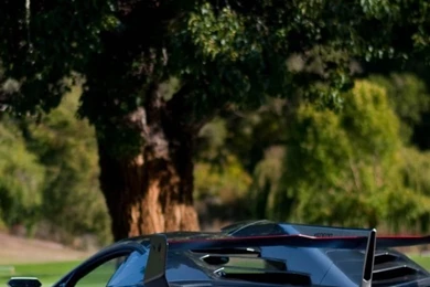 Download Wallpapers 640x1136 Lamborghini, Veneno, Supercar, Rear ...