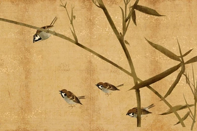 Japanese Wallpaper_hd Wallpaper_download Free Wallpapers