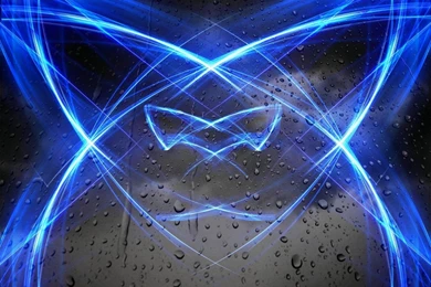 Light Blue Black Dark Rain White Cats Neon Wallpapers