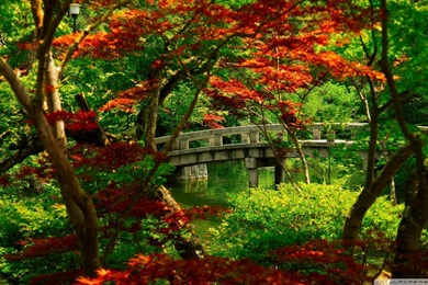 Japanese Garden Wallpapers 108606 Wallpapers