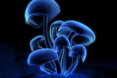 Neon Blue Wallpapers