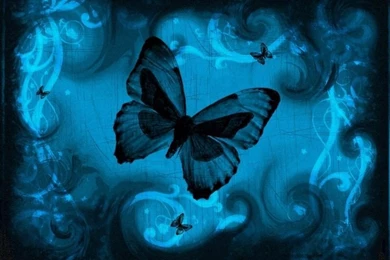 Cute Blue Wallpapers HD Wallpapers Pretty