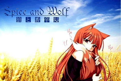 Spice And Wolf Wallpapers By Nanamichan47 On DeviantArt