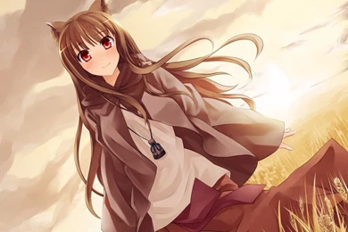 Spice And Wolf Wallpapers 1273x900   (