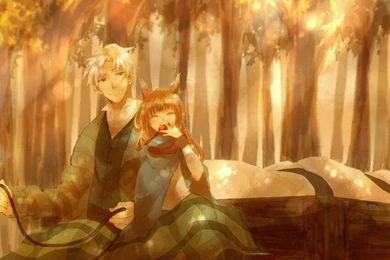 Wallpapers Spice And Wolf By Shona Horo On DeviantArt