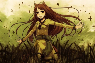 Ookami To Koushinryou Spice And Wolf Wallpapers