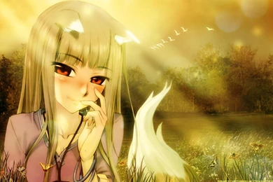 Spice And Wolf Wallpapers