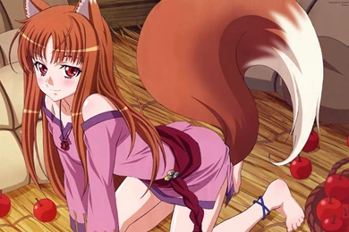 Holo And Apples   Spice And Wolf Wallpapers