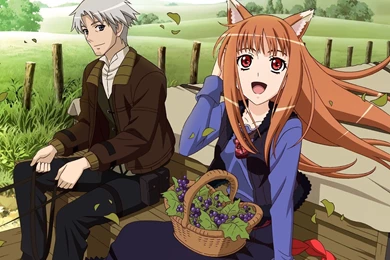171 Spice And Wolf HD Wallpapers