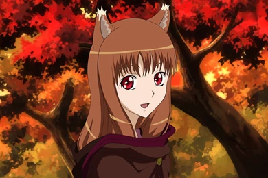 Spice And Wolf   Horo By Cassac On DeviantArt