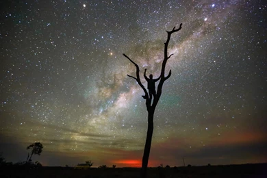 Starry Sky Wallpapers