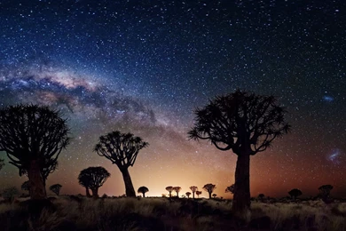 Amazing Starry Sky Wallpapers   Nature Wallpapers