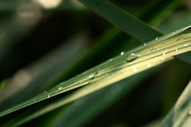 Wallpapers 84   1280 X 720 HDTV 720p Wallpapers   Wallpapersense