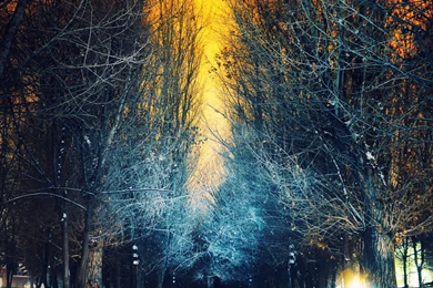 Best iPad Mini HD Wallpapers